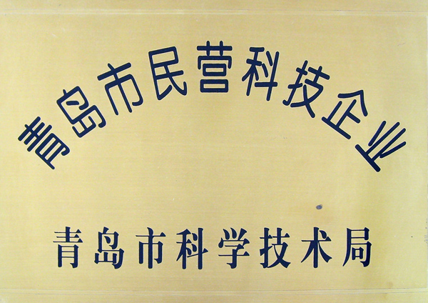 民營(yíng)科技企業(yè)